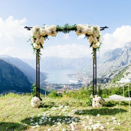 Costway Garden Arch with Solid Steel Construction for Wedding