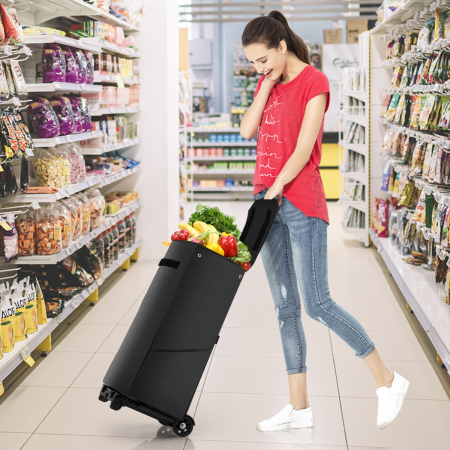 Folding Shopping Cart with 38 L Waterproof Bag for Grocery