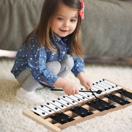 27 Notes Glockenspiel Xylophone with Wooden Base for Kids