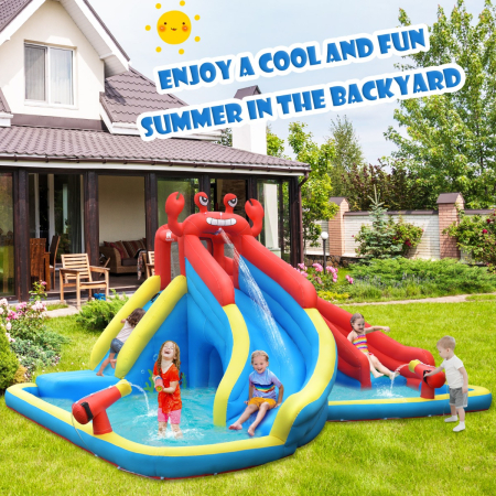 Inflatable Water Slide with Climbing Wall (without Blower)